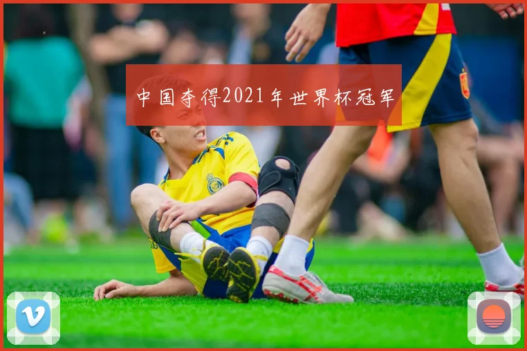 中国夺得2021年世界杯冠军