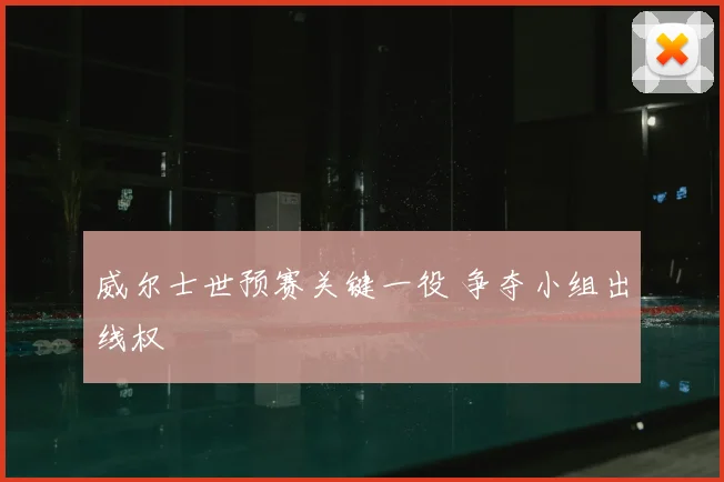 威尔士世预赛关键一役 争夺小组出线权