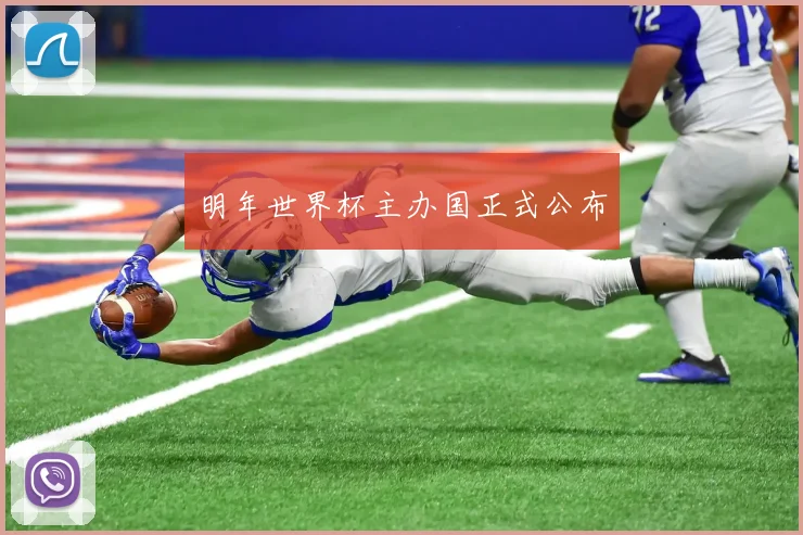 明年世界杯主办国正式公布