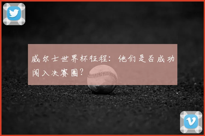 威尔士世界杯征程:他们是否成功闯入决赛圈?