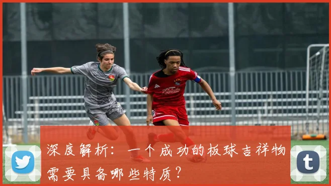 深度解析：一个成功的板球吉祥物需要具备哪些特质？