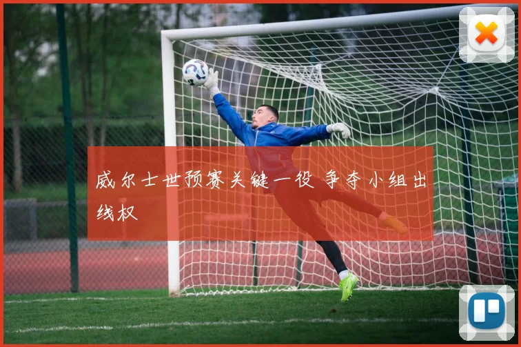 威尔士世预赛关键一役 争夺小组出线权